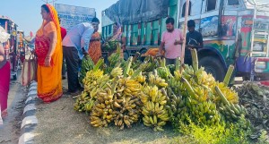 छठ पर्वले बजारमा केराको माग बढ्यो