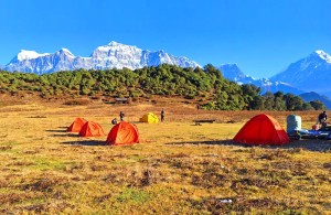 पर्यटक आकर्षणको केन्द्र बन्दै ढोरपाटन जलजला       