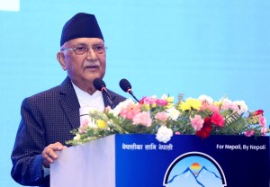 गैरआवासीय नेपाली सङ्घलाई एकताबद्ध, मर्यादित र उद्देश्यकेन्द्रित बनाउन प्रधानमन्त्रीको आग्रह