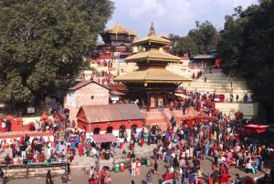 माधवनारायणका वर्तालुद्वारा पनौतीमा पूजा    