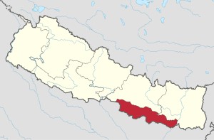 मधेसमा आत्महत्याका घटना बढे, दुई महिनामै २५० जनाको मृत्यु