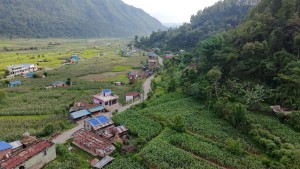 चार हजारभन्दा बढी क्षेत्रफलमा मकै बीउ प्रवर्द्धन कार्यक्रम सञ्चालन        