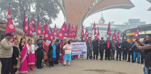 विद्युतीय पोलमा राष्ट्रिय झण्डा   