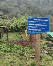मसालाबाली खेती गर्ने किसानलाई अनुदान   