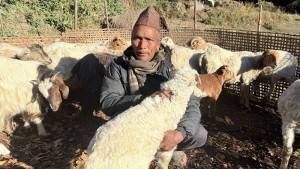 भेडागोठमा पाँच दशक बिताएका नरेन्द्रलाई पढ्न नपाएकामा पछुतो   