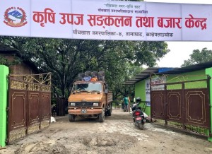 पाँचखालमा ‘विषादीरहित’ तरकारी संकलन केन्द्र सञ्चालन    