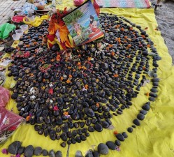 रुरु क्षेत्रमा ‘शालिग्राम महोत्सव’   