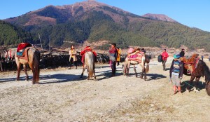 चिसो याममा पनि ढोरपाटनमा पर्यटकको चहलपहल  