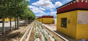 नेपाली तथा भारतीय सञ्चारकर्मीहरू तिब्बतको आली शहरमा 