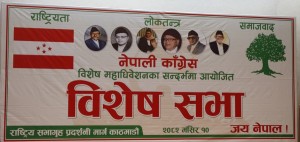 विशेष महाधिवेशन पक्षधरको सभा सम्पन्न   