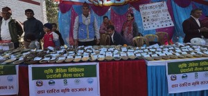 एकै थलोमा ३ सय ५० रैथाने कृषि प्रजातिको प्रदर्शन   