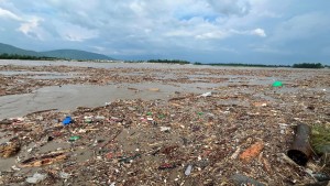 त्रिशूली र नारायणी नदीमा शवको खोजी तीव्र, ६९ वटा भेटियो