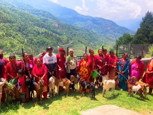 किसानका आयआर्जनमा सघाउन ‘बाख्रा उपहार’   