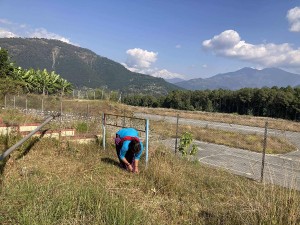 एउटा कर्मचारीको भरमा बलेवा विमानस्थल   