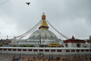 विश्व सम्पदा बौद्ध चैत्यको पदमार्ग पुनः निर्माण शुरू  