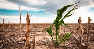 जलवायु परिवर्तनले लाखौँ विस्थापित : युएनएचसीआर    