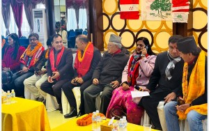 कांग्रेस विशेष महाधिवेशनपछि नयाँ केन्द्रीय कार्यसमितिको बैठक    