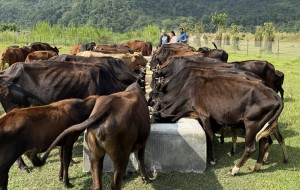 ‘दाता’ को सहयोगले गौ संरक्षण केन्द्र सञ्चालनमा सहज   