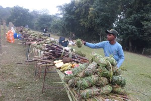 हात्ती पूजा गरी वनभोज खुवाइयो    