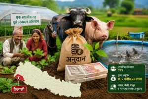 कैलालीमा कृषि ‘पकेट’ क्षेत्र विकासका लागि साढे ५ करोड अनुदान