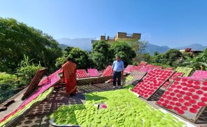 झनियाँको माग बढ्दो, व्यवसायीलाई उत्पादन गर्न भ्याइनभ्याई   