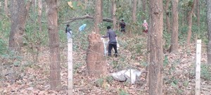 पतझरमा किसानलाई पतिंगर सोहोर्ने चटारो    