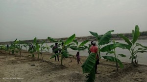 मिथिलाञ्चल छठमय धुनमा झुम्दै