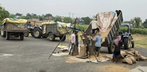 समर्थन मूल्यभन्दा बढीमा गहुँ बेच्न पाउँदा किसान खुसी    