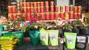 जहाँबाट ‘कोसेली’ नबोकी फर्किन्नन् पर्यटक        