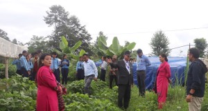 पढ्दै-कमाउँदै कार्यक्रम हटेसँगै सामुदायिक विद्यालय समस्यामा    