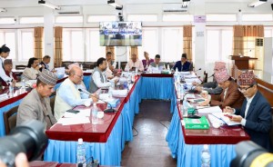 यस्ता छन् सार्वजनिक लेखा समितिका निर्णय        