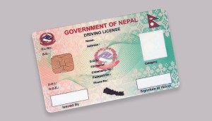 सवारी चालक अनुमतिपत्र छपाइ तीव्र गतिमा     