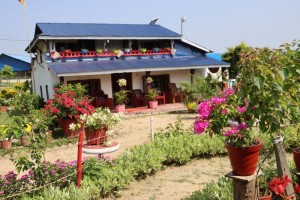 फूलैफूलले सजिएको माडीको अयोध्यामार्ग        