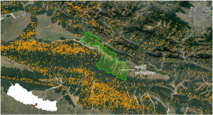 उद्यमसहितको वन व्यवस्थापनले आगलागी शून्य   