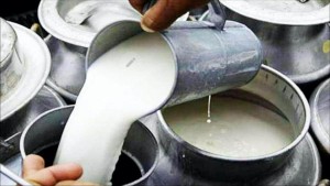दूध उत्पादक किसानलाई दुग्ध विकास बोर्डले एक अर्ब र निजी क्षेत्रले तीन अर्ब तिर्न बाँकी        