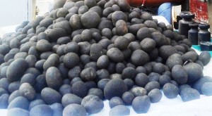 थारु समुदायको भान्सामा हराउँदै ‘फुटकी च्याउ’ को स्वाद   