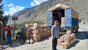 मुस्ताङको स्याउ बजारमा पुर्‍याउन ढिलाइ, हालसम्म ३० प्रतिशतमात्र निकासी