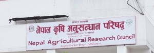 नार्कका सम्पर्कविहीन दुई कर्मचारी बर्खास्त    