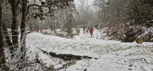 पाथीभरा क्षेत्रमा हिमपात   