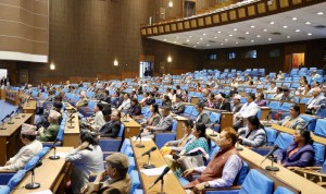 भुताहा-आमबास-दुम्कीबास सडक निर्माण गर्न बजेट माग     
