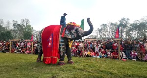 चितवनको पर्याय बन्दै ‘हात्ती तथा पर्यटन महोत्सव’   