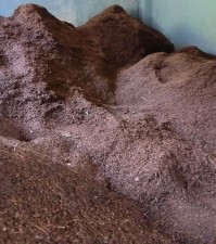 पातपतिङ्गरबाट जैविक मल उत्पादन गर्दै स्थानीय        