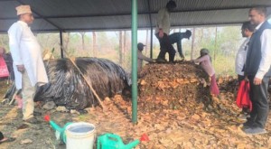 प्राङ्गारिक मल उत्पादनसँगै डढेलो नियन्त्रण        