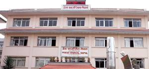 निर्वाचनको अवधिमा निष्पक्ष एवं उत्तरदायी बन्न काउन्सिलको आग्रह   