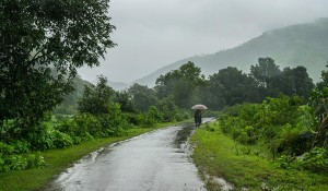 वर्षाका कारण सम्भावित जोखिम रोक्न सरकार उच्च सतर्क, सबै मन्त्रालय सक्रिय