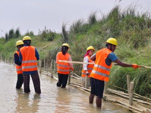 नदी कटान रोक्न जैविक तटबन्ध    