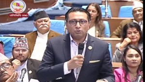 ‘भिजिट भिसा’ प्रकरण सम्बन्धमा छानबिन गर्न समिति गठन,  राप्रपा र रास्वपाको असहमति        