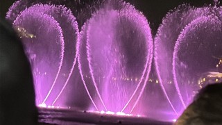 घोडा वर्ष नजिकिँदै गर्दा, प्रकाश र छाँयाद्वारा उज्यालो हाङ्चौ पश्चिम ताल