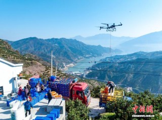 त्रिघाटी जलाशय क्षेत्रमा ड्रोनद्वारा केशर सुन्तला ढुवानी गरिँदै