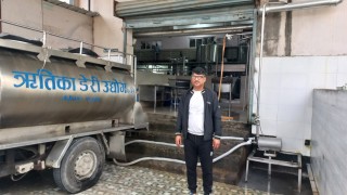 बुबाको पेसालाई पछ्याउँदै सफल डेरी उद्यागी बनेका योगेन्द्र   